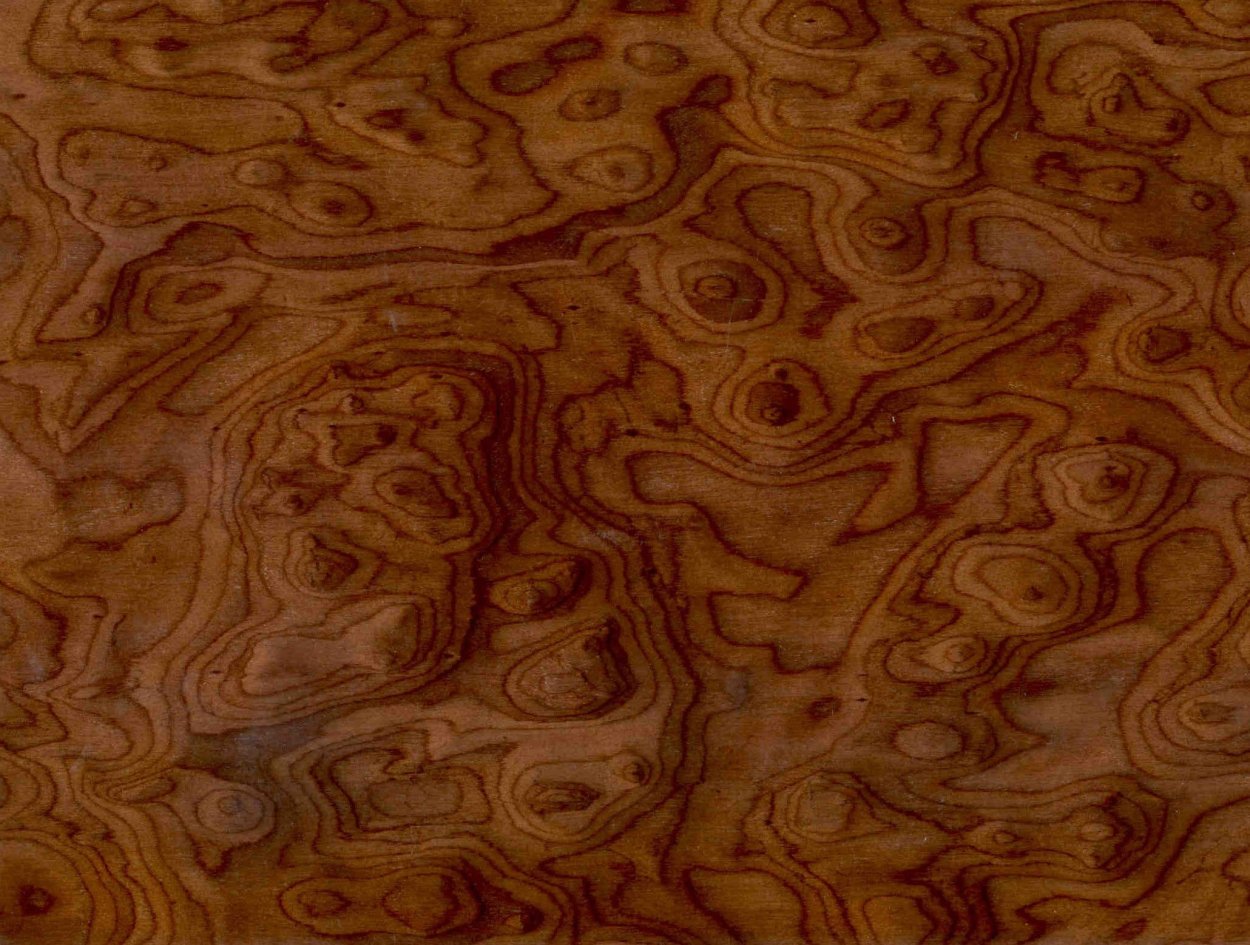 Шпон Капа американского ореха