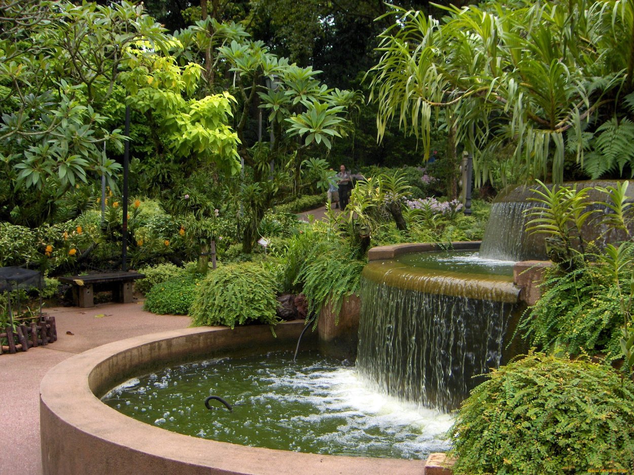 Сингапурский Ботанический сад