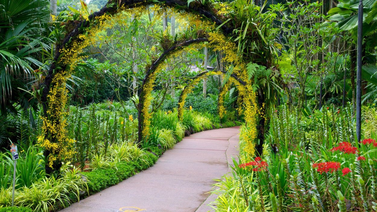 Сингапур Singapore Botanic Gardens