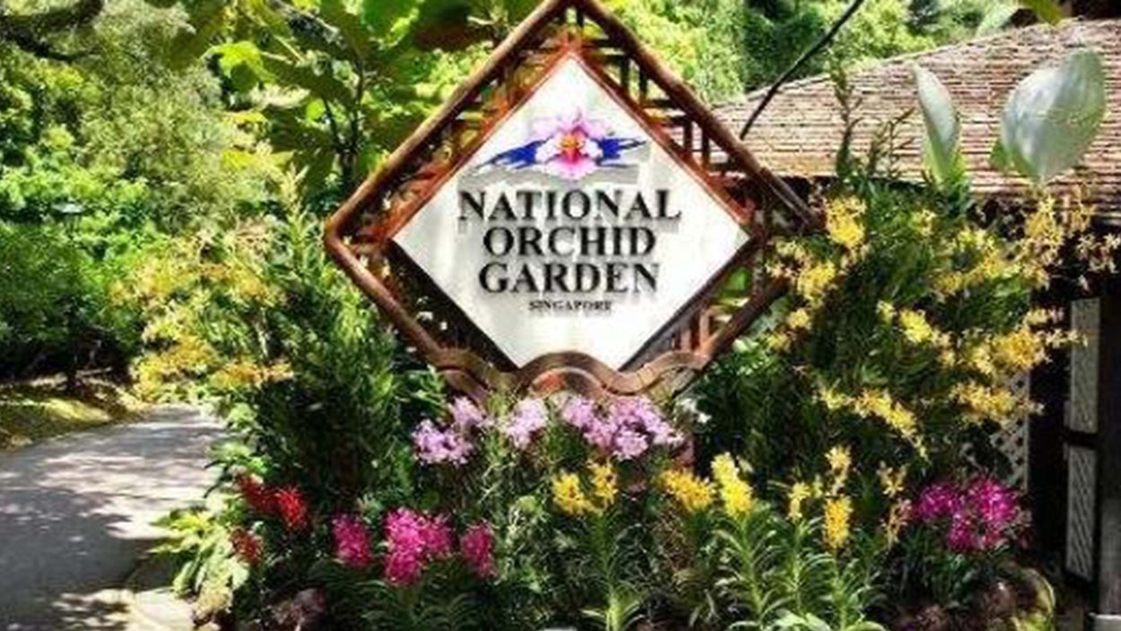 Национальный сад орхидей в Сингапуре