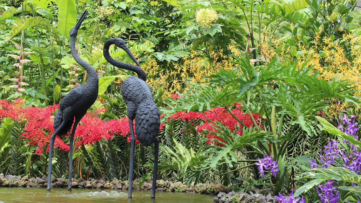 Ботанический сад Сингапура музей наследия