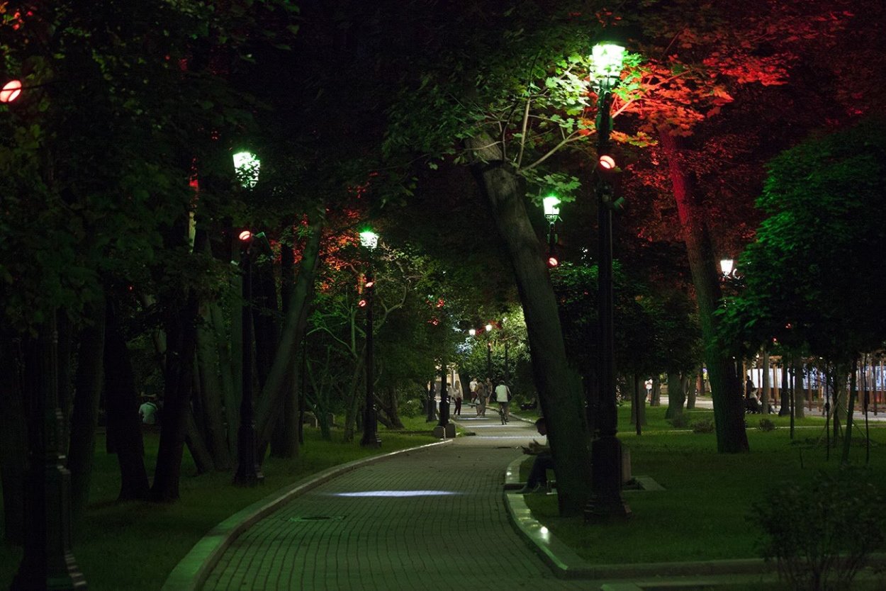 Дендрарий Краснодар ночью