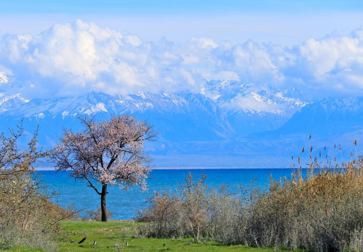 Иссык-Куль и горы