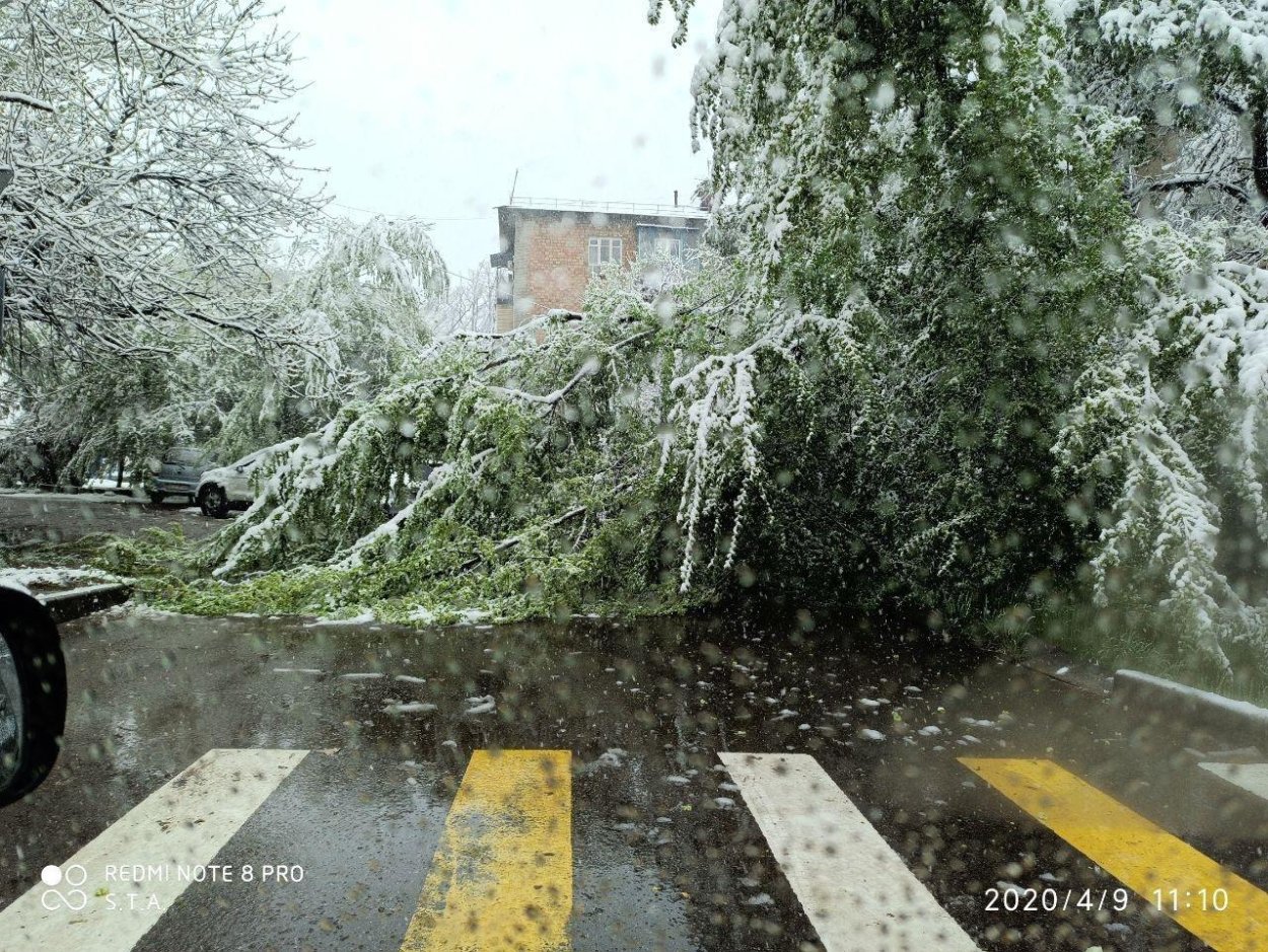 Снег в Кыргызстане