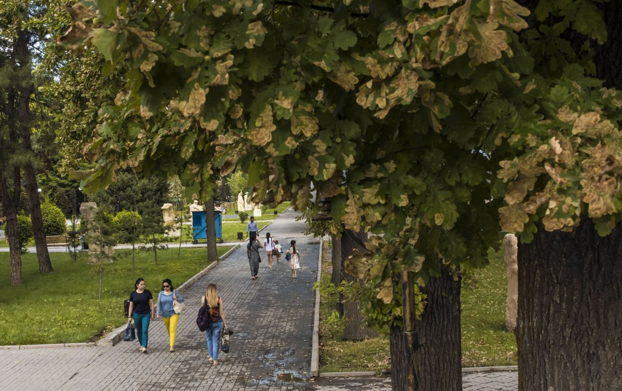 Дубовая роща Бишкек