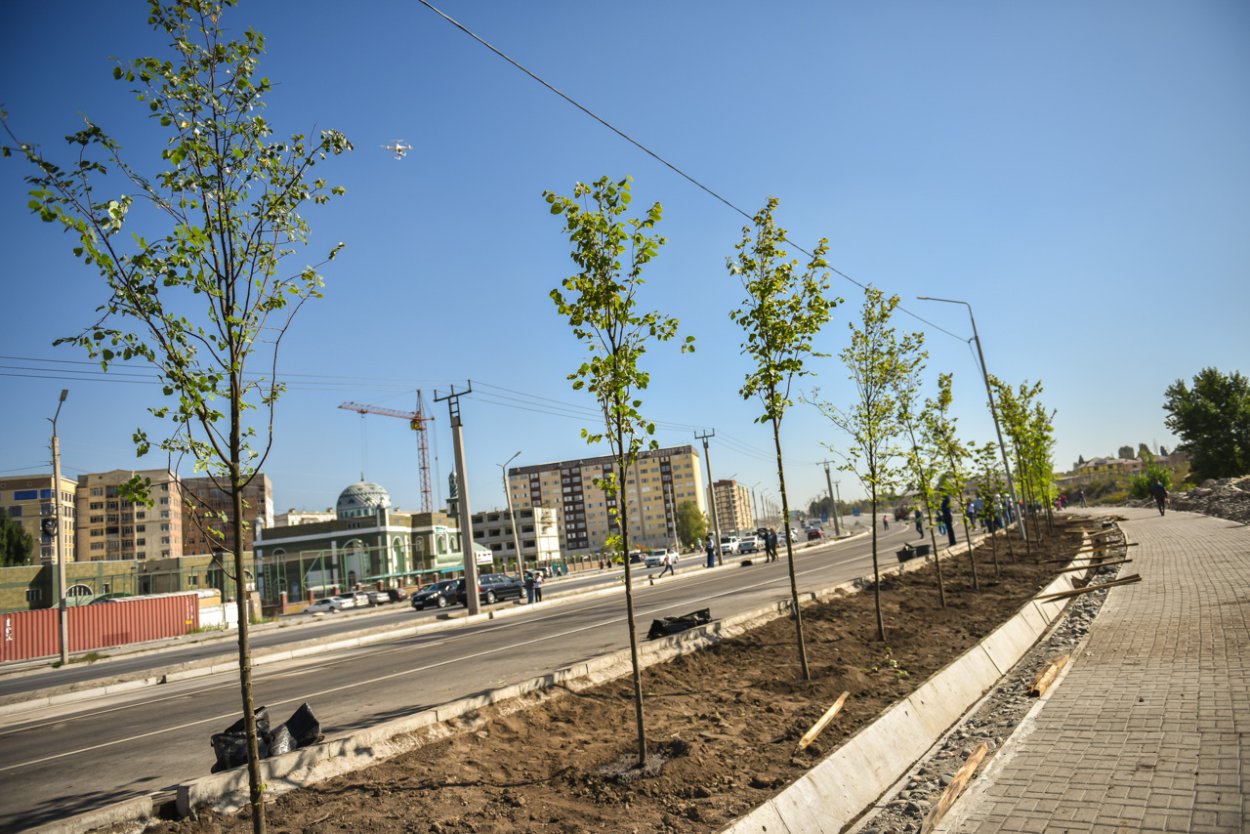 Южная магистраль