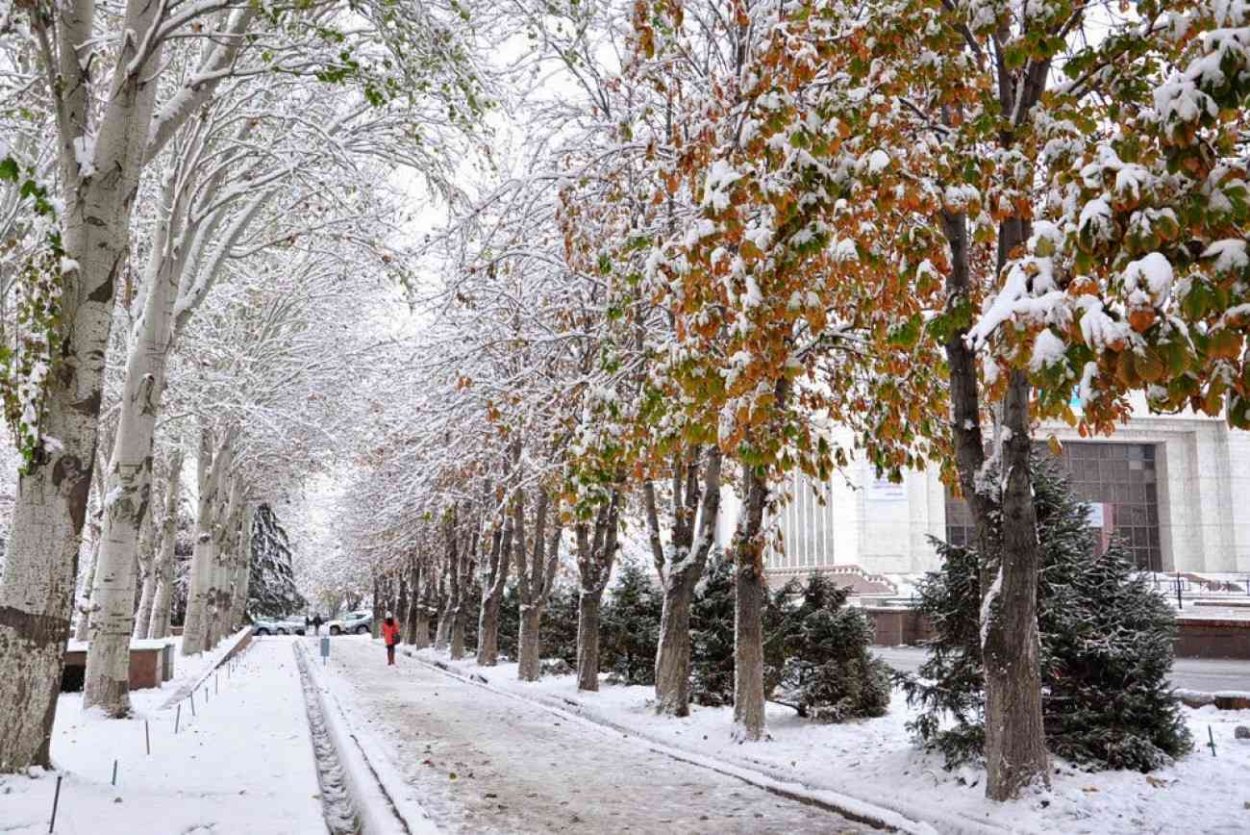 Бишкек зимой