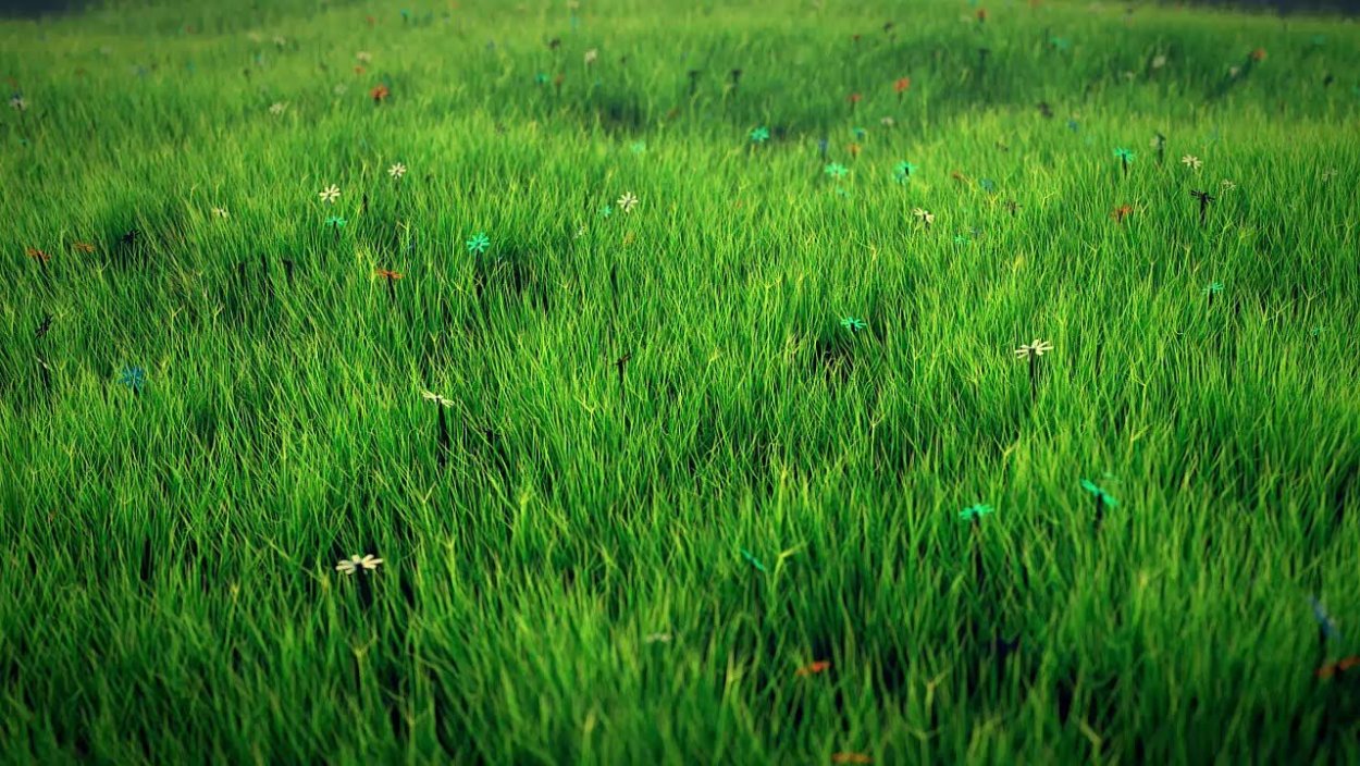 Трава Поляна