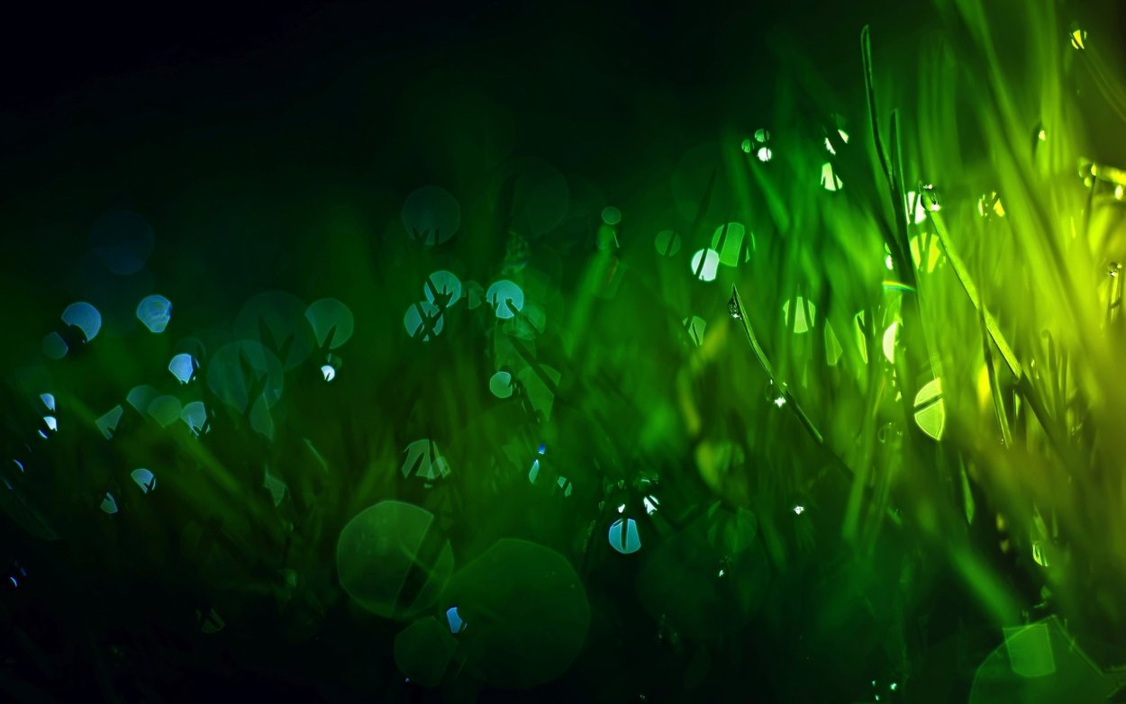 Фоновое изображение