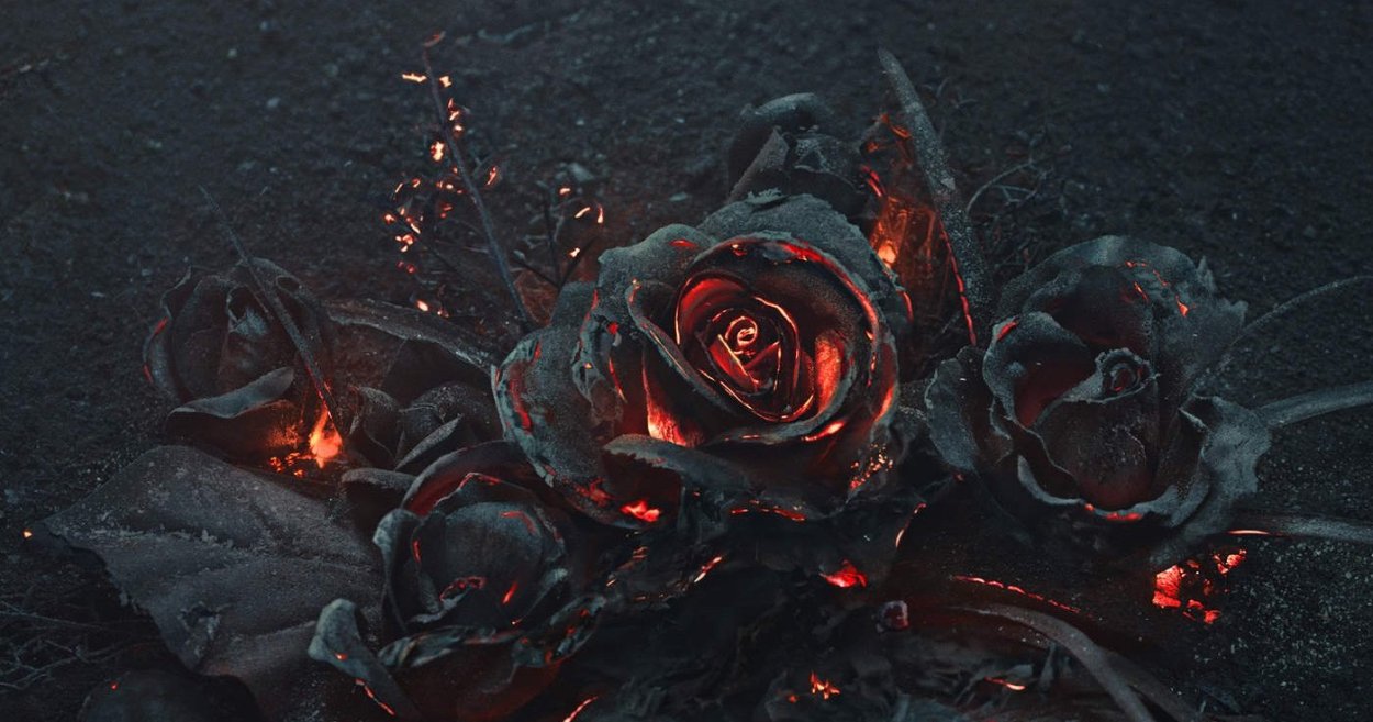 Мертвая роза