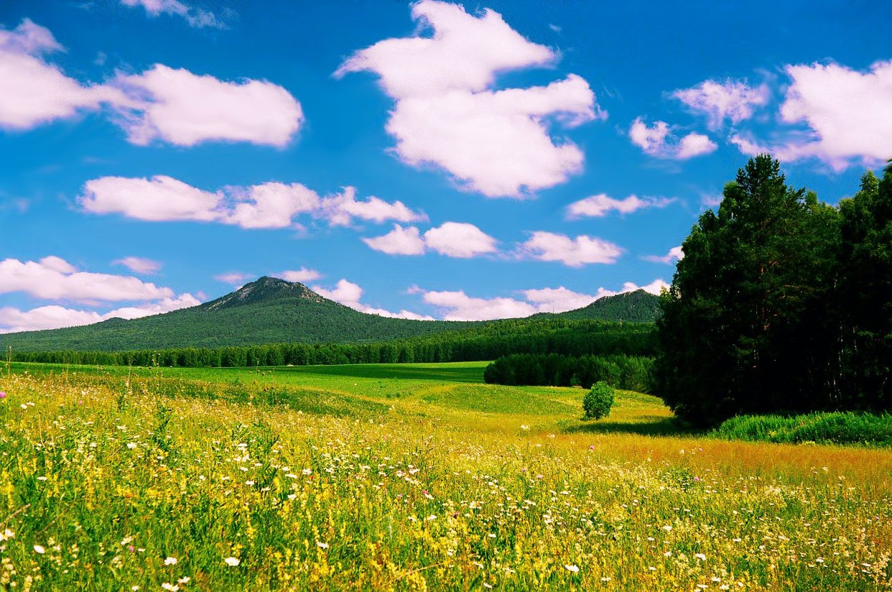 Луга Башкортостана