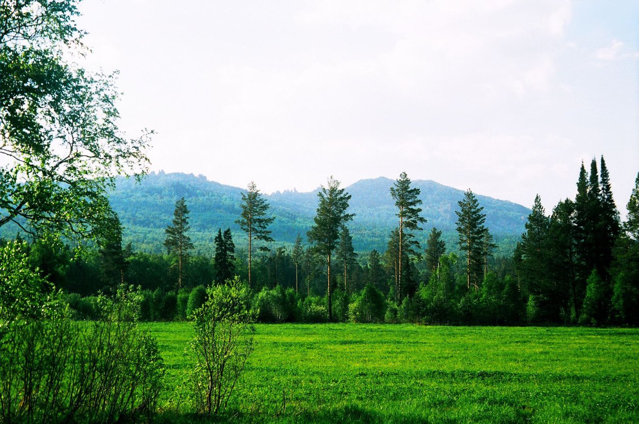 Природа Башкортостан деревья