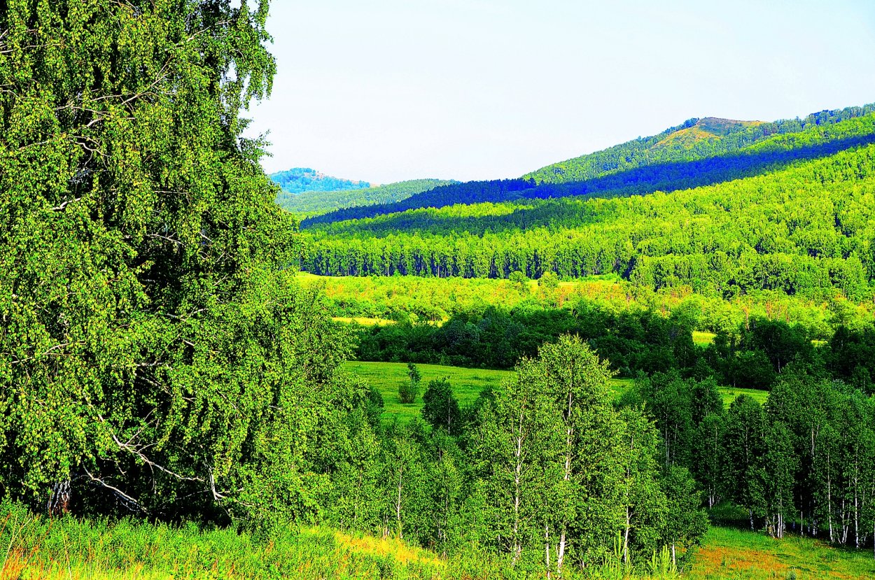 Природа Башкирии в аниме стиле