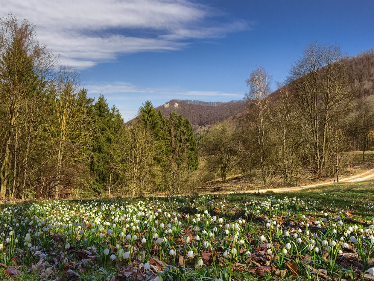 Весенняя природа