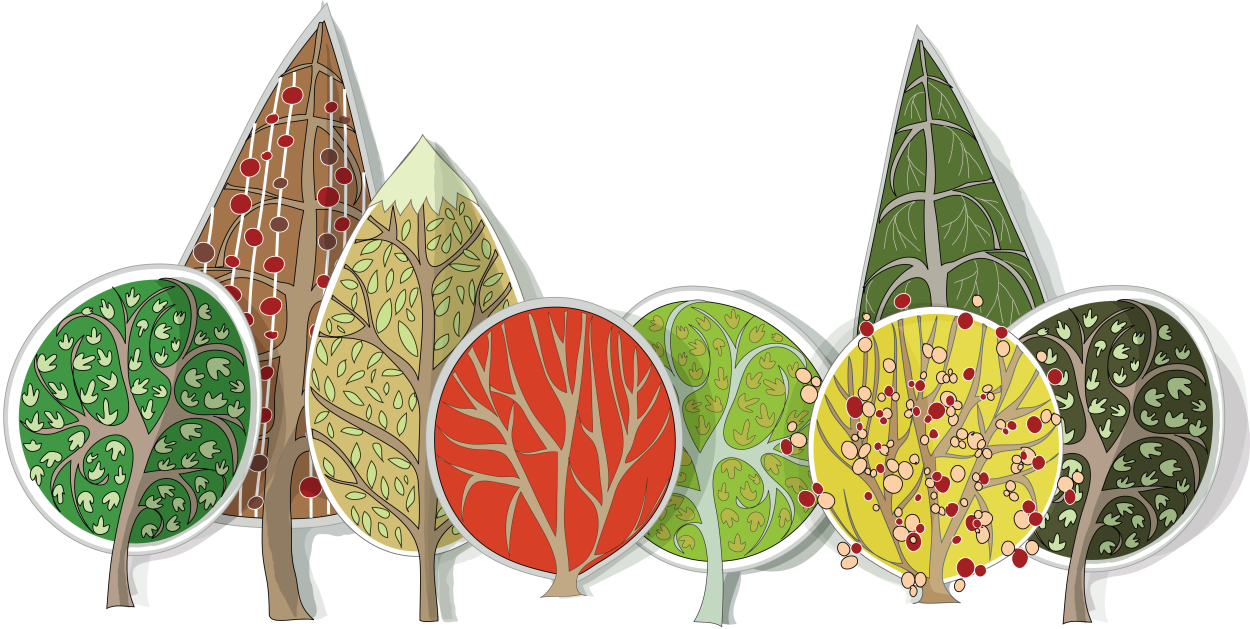 Широколиственные леса Башкортостана