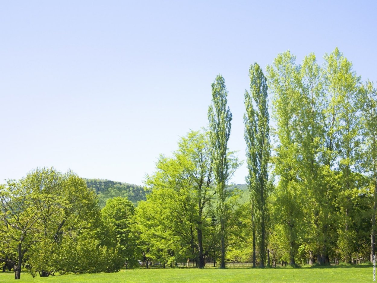 Кужаново Абзелиловский
