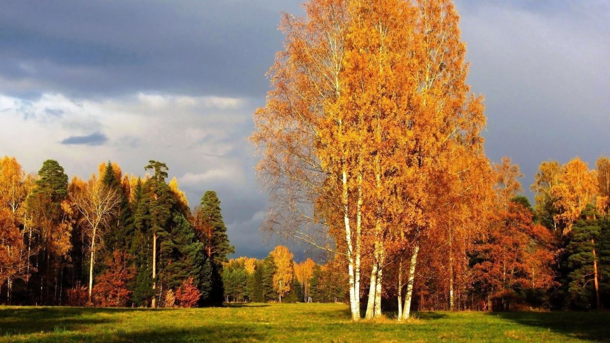 Фон природа России осень
