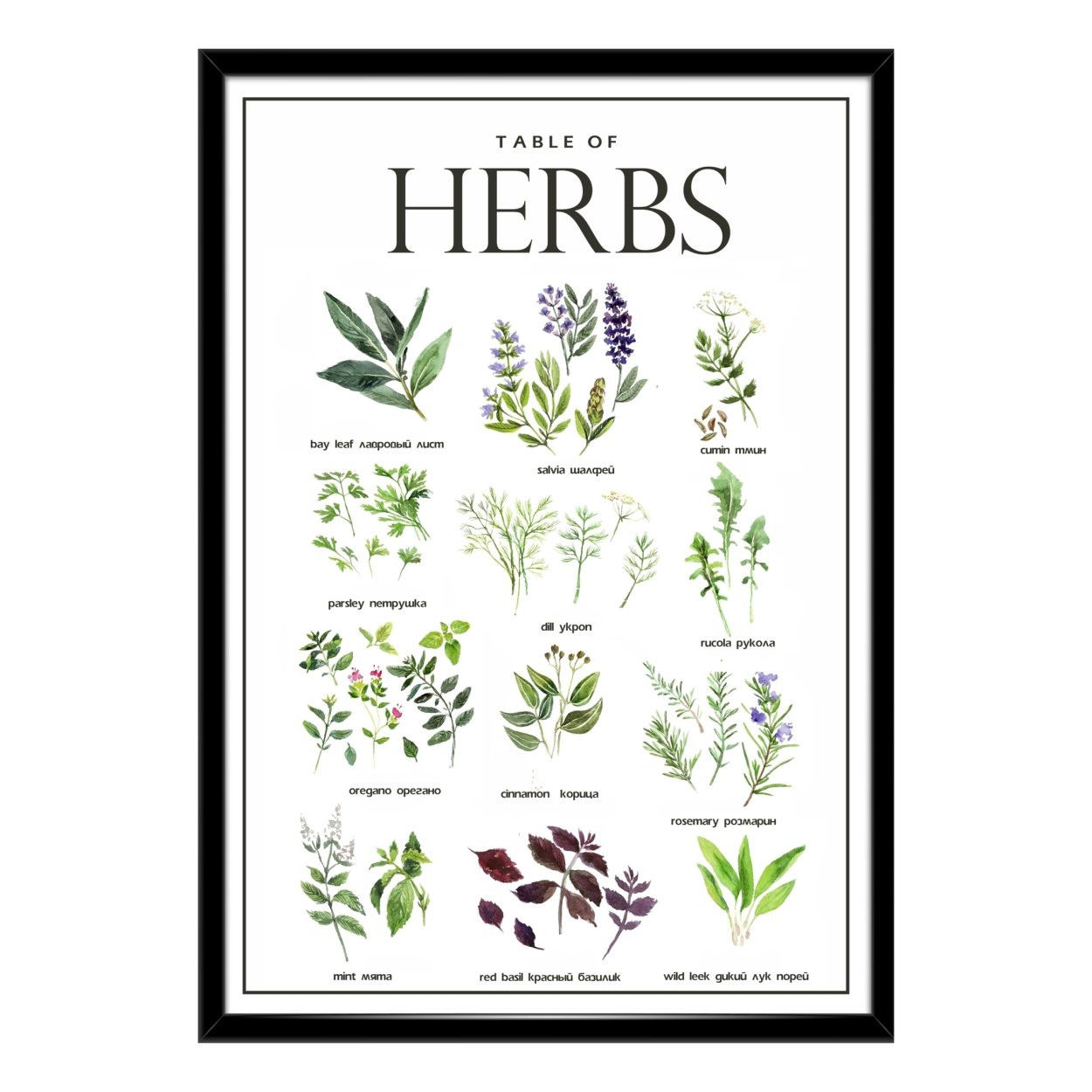 Лечебные травы на огороде