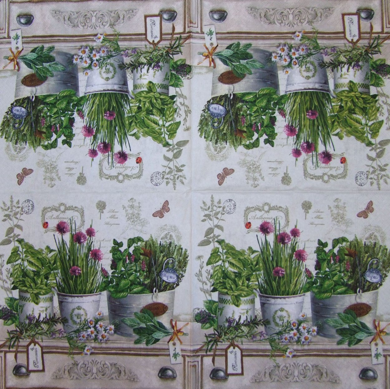 Зелень в горшке "розмарин"