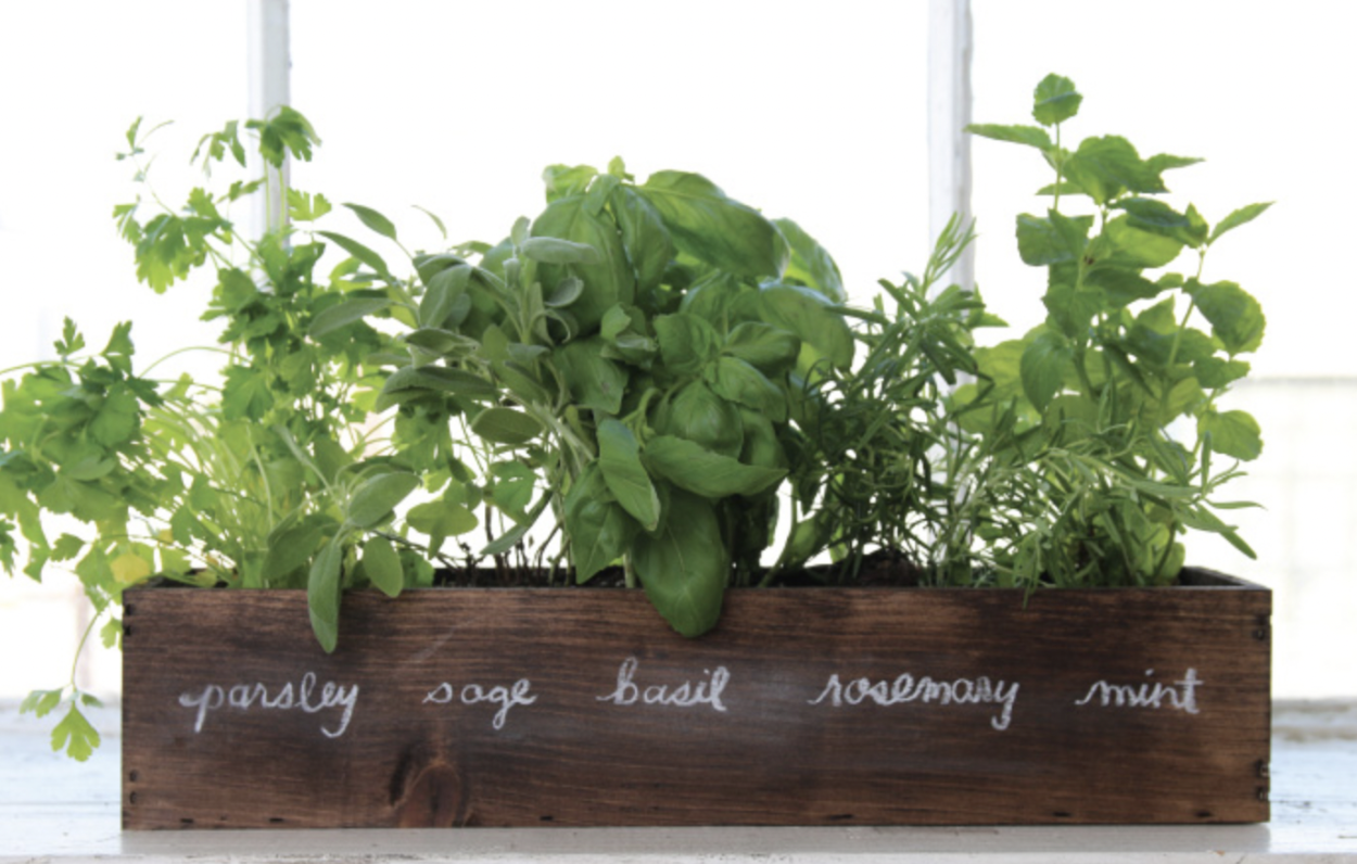 Керминзюк пряная трава