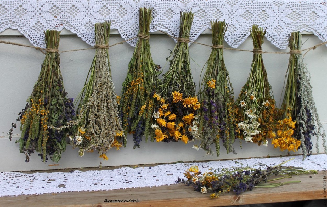 Травы для чая на подоконнике