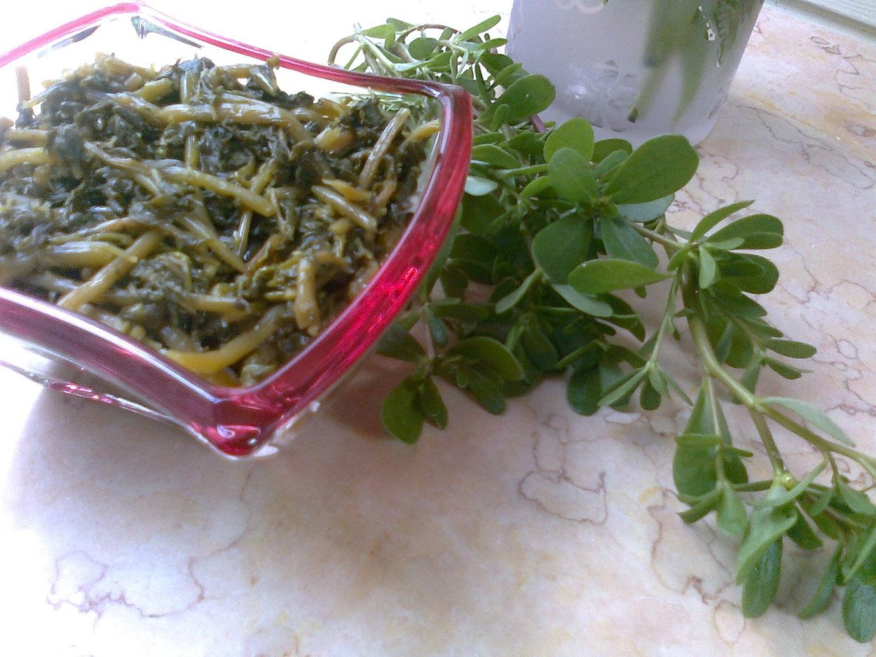 Портулак(дандур армянский)