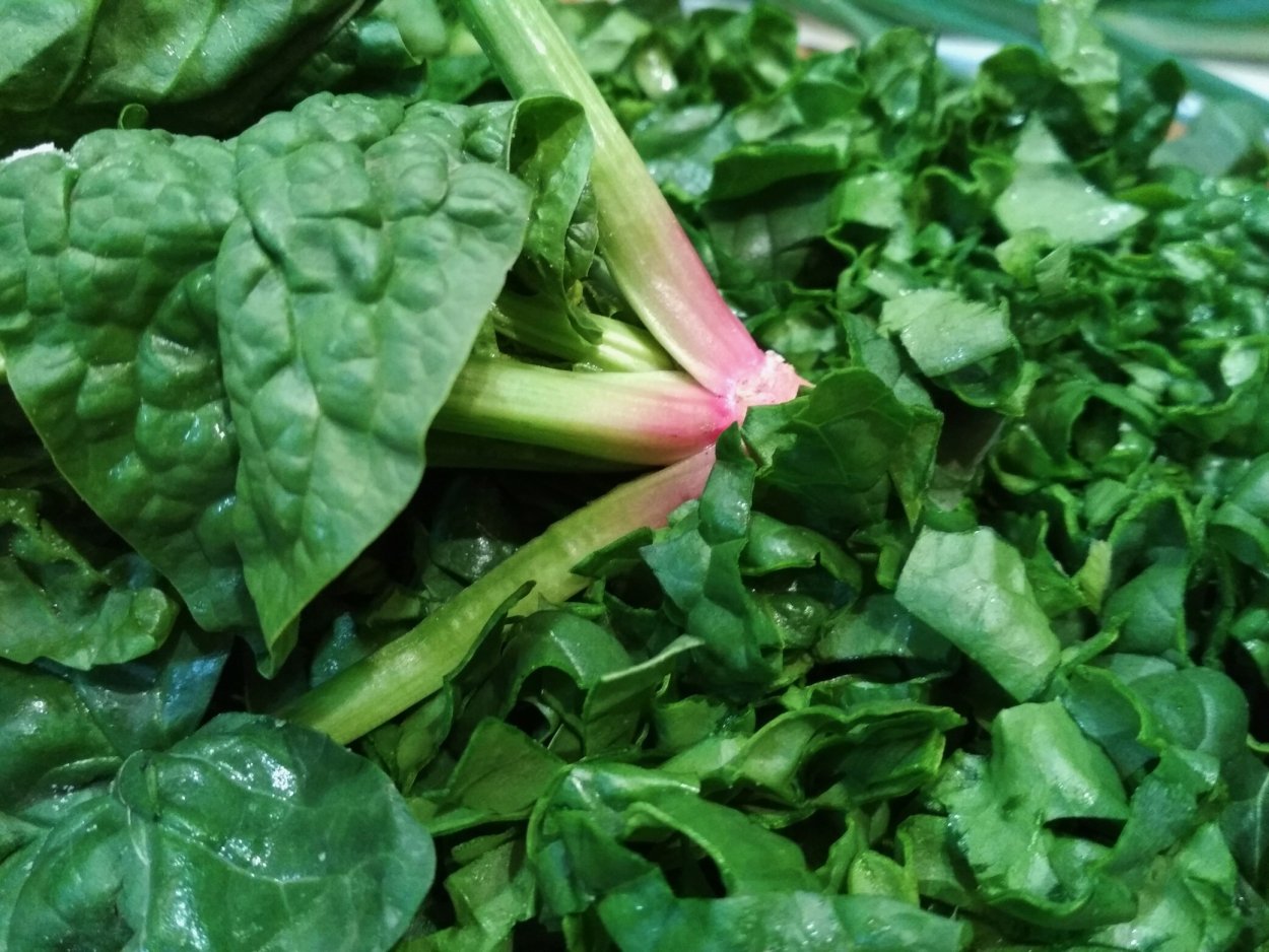 Армянская трава портулак