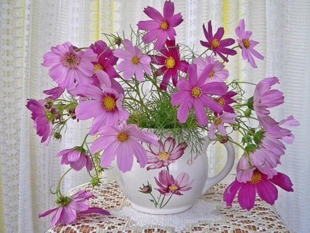 Утро космея доброе космея