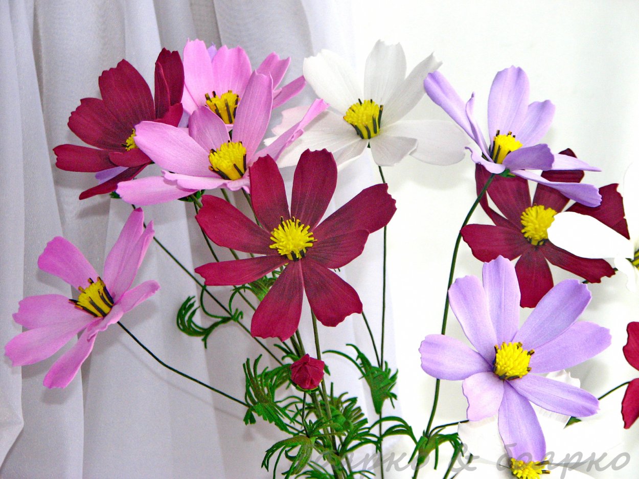 Фоамиран космея