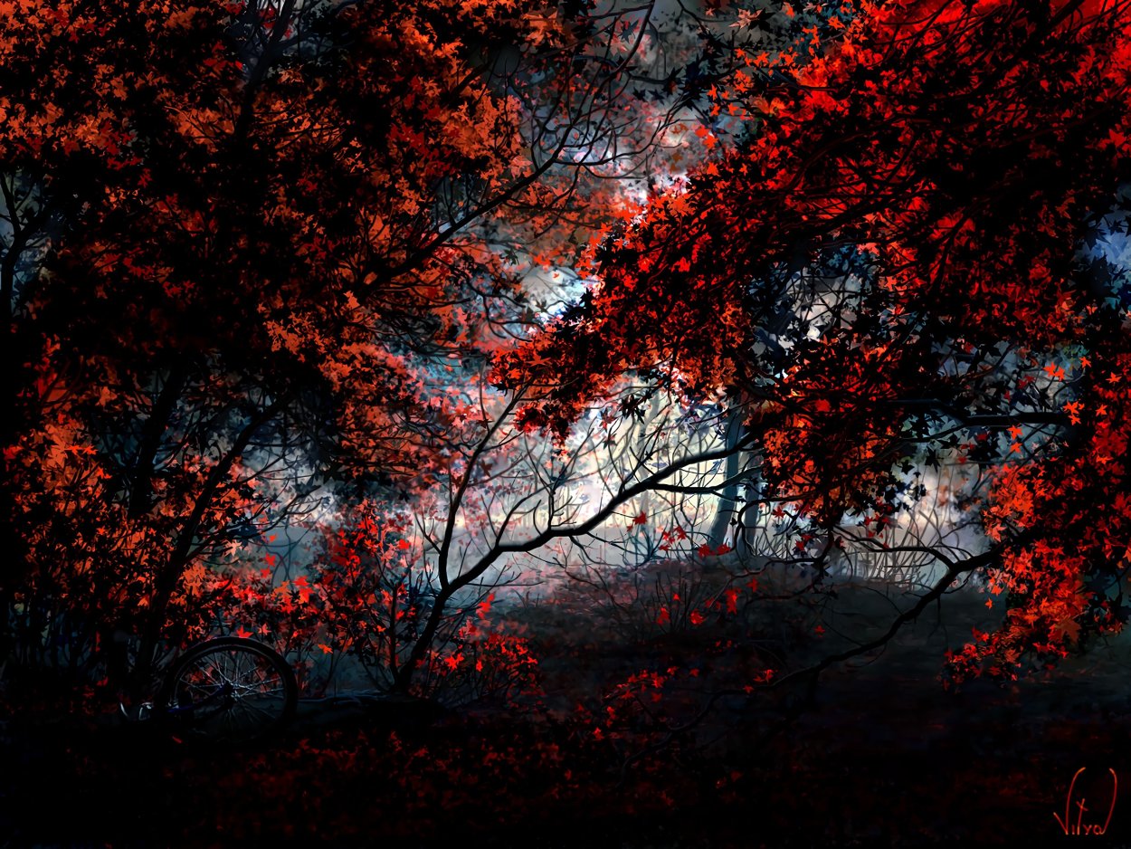 Черно красный лес