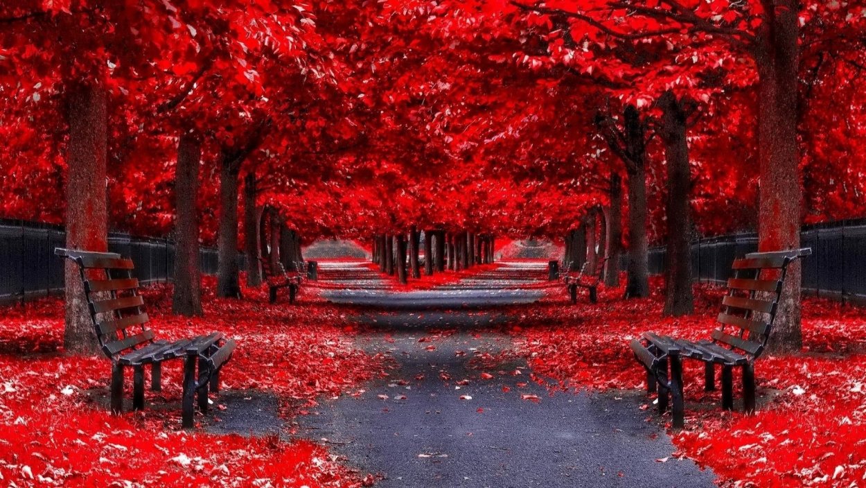 Красная осень