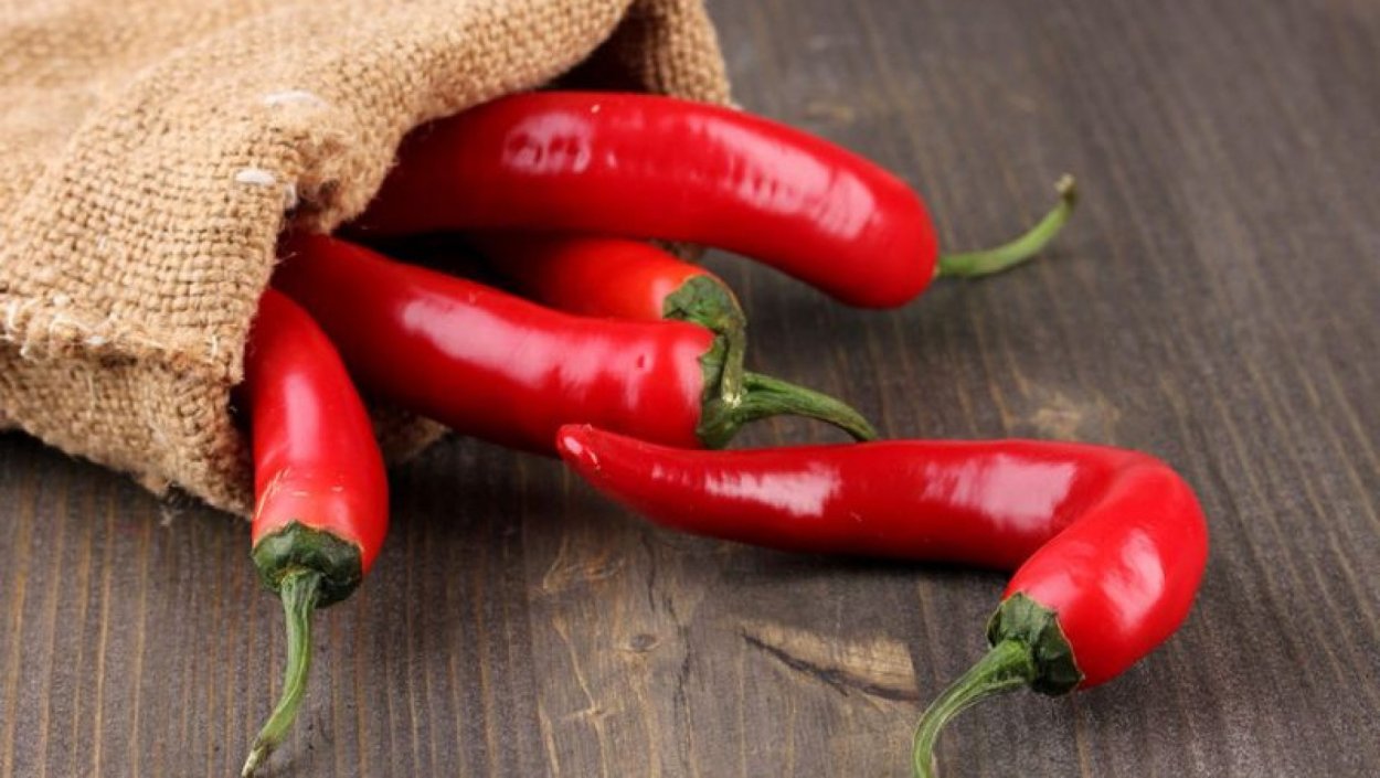 Острый перец Чили