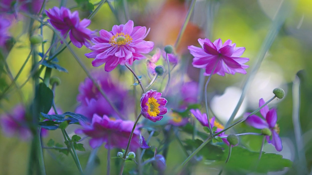 Красивое лето