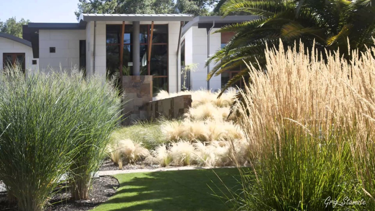 Вейник в городском озеленении