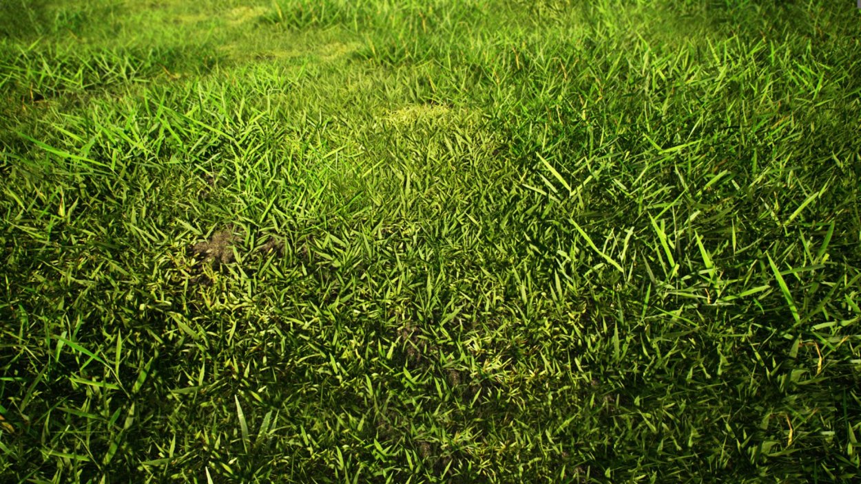 Газон текстура