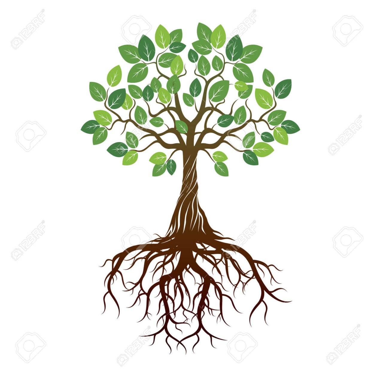 Рафал Олбински картина дерево