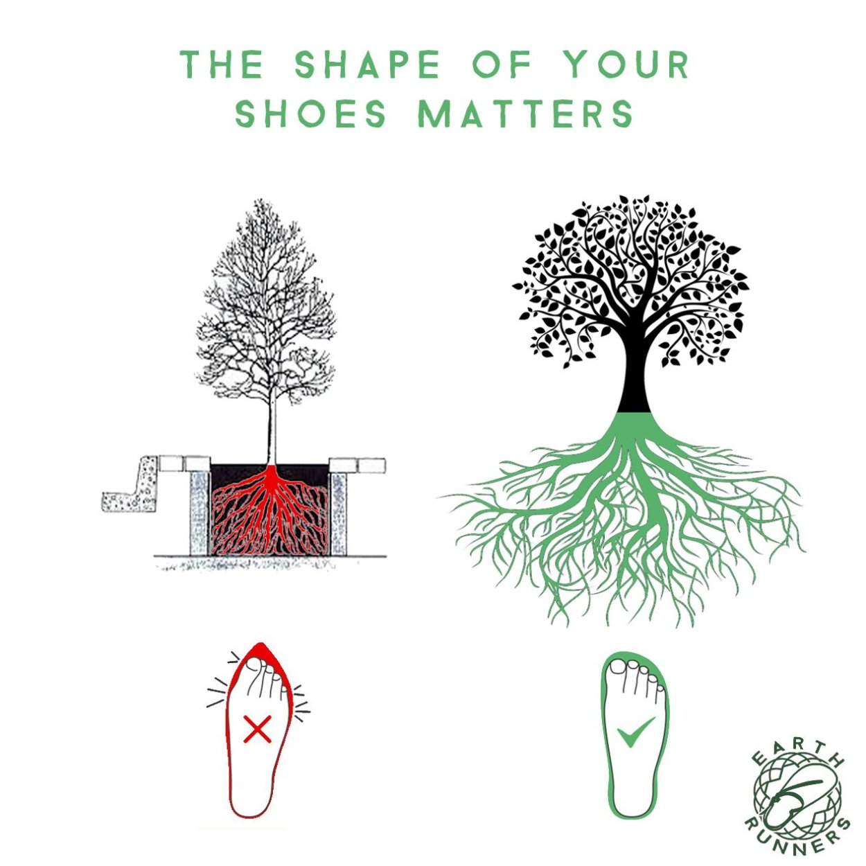 Дерево с ветвящимся корнем