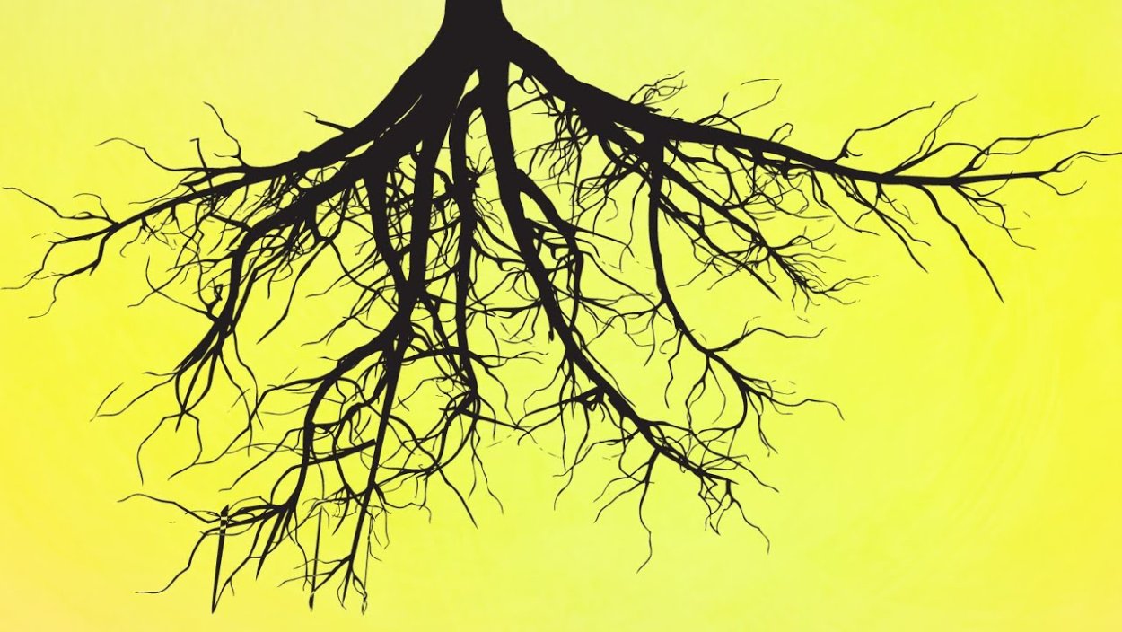 Дерево в виде легких