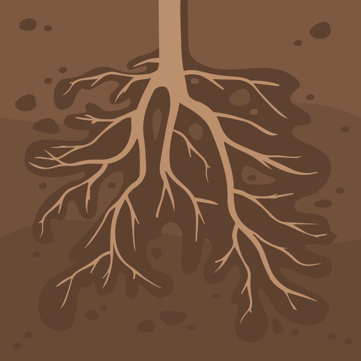 Яблоня с корнями рисунок