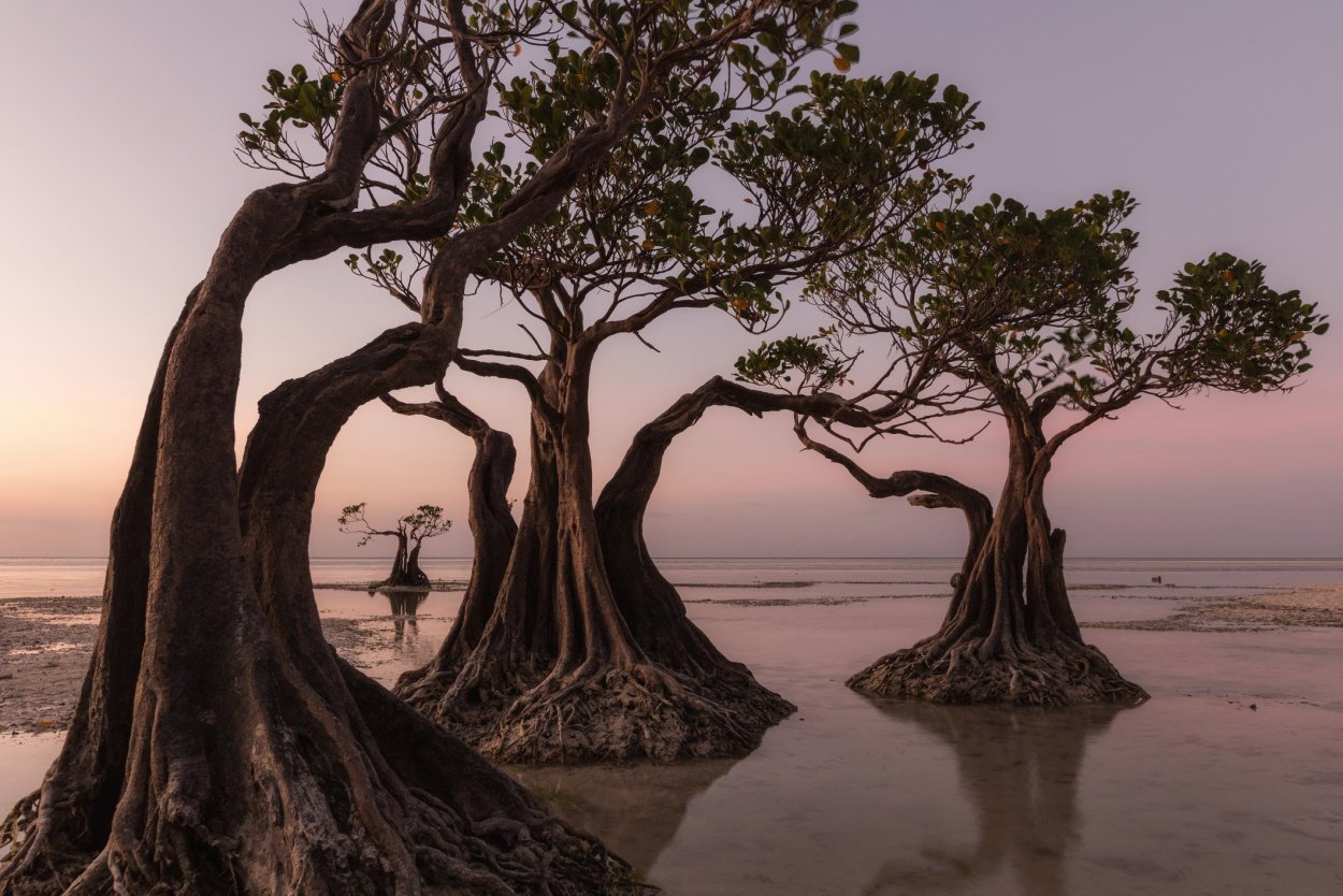 Арт объекты Корея