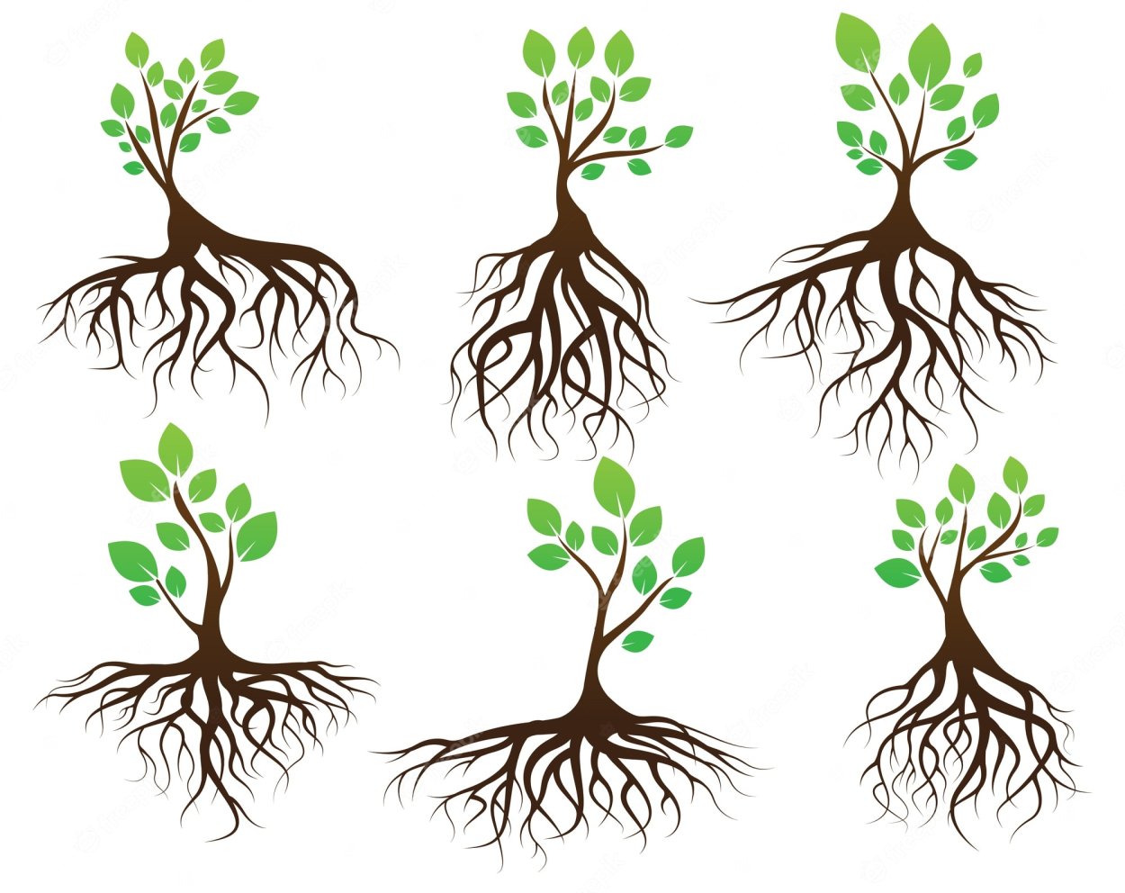 Дерево с корнями и кроной