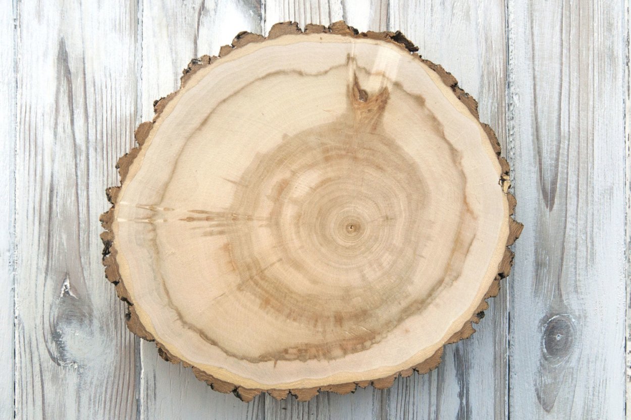 Клен поперечный спил