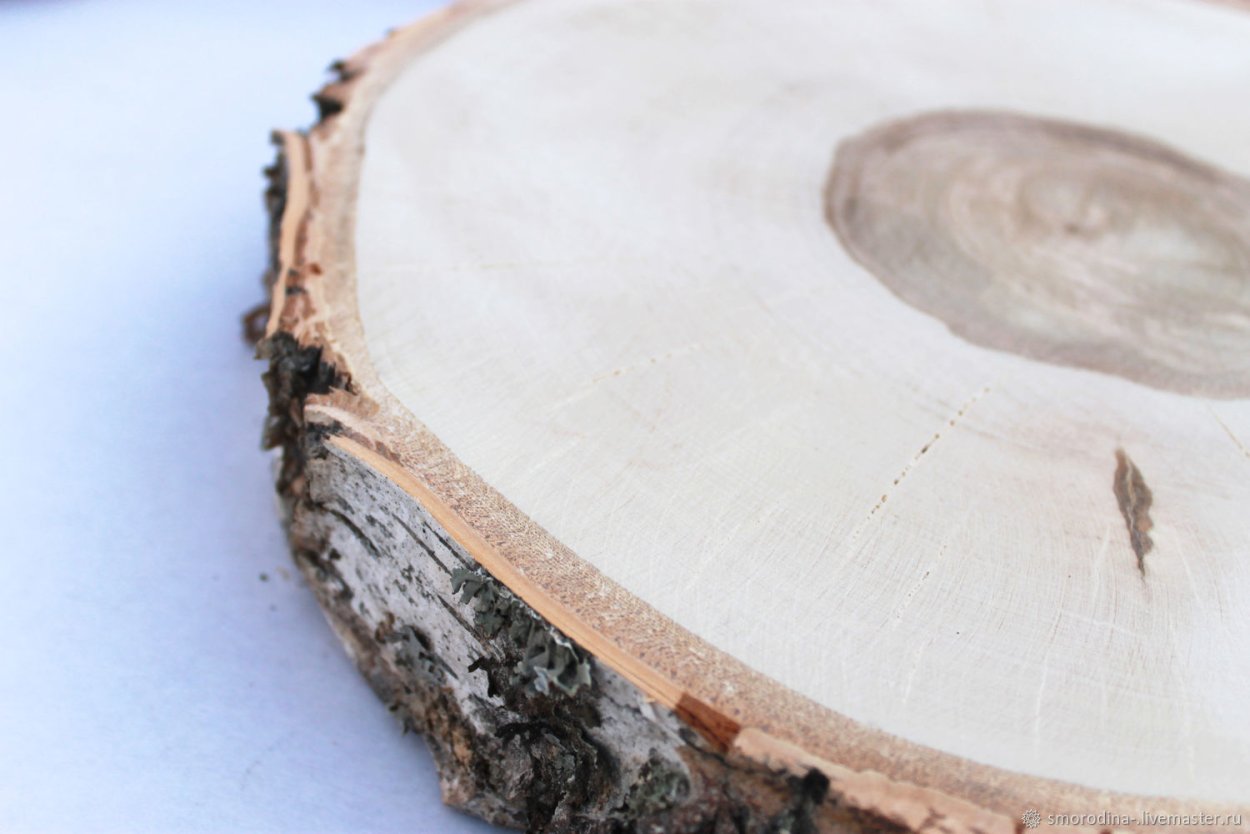 Спил дерева f4150d