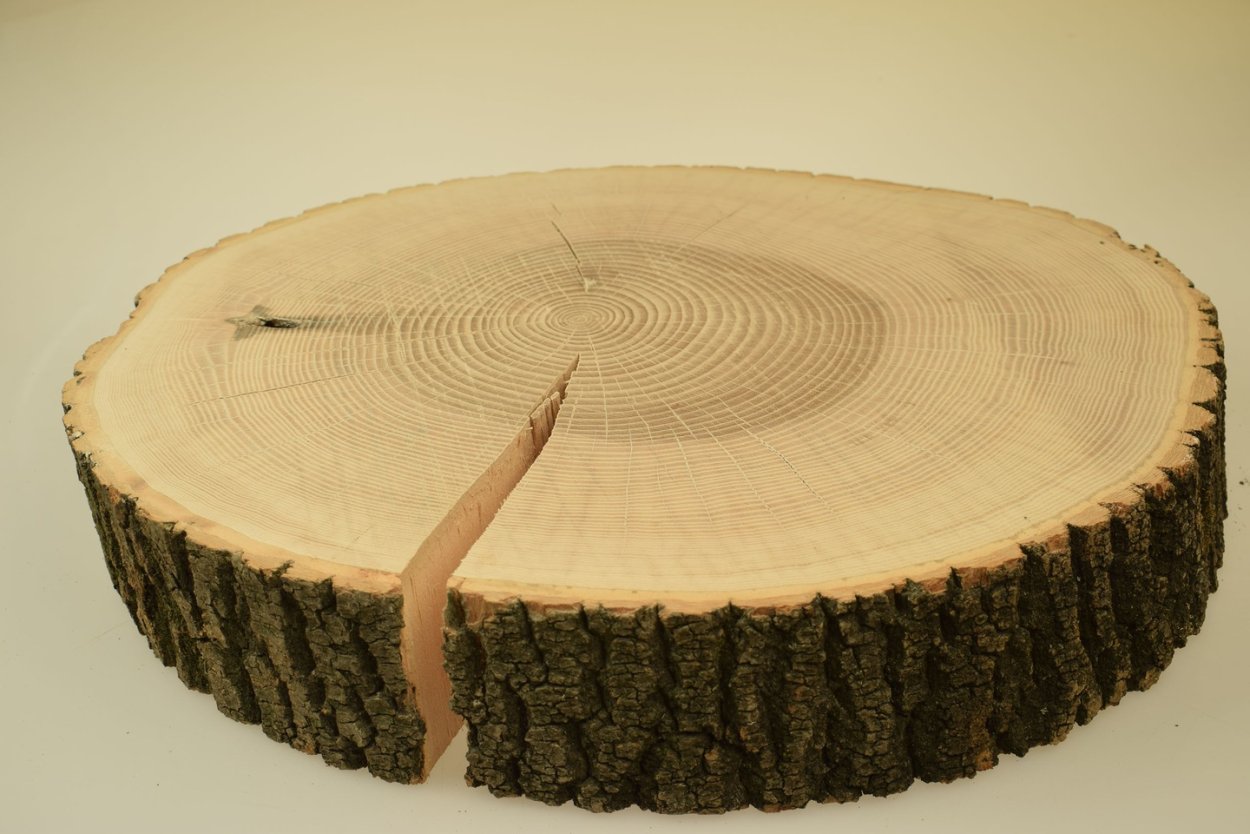 Кольца дерева