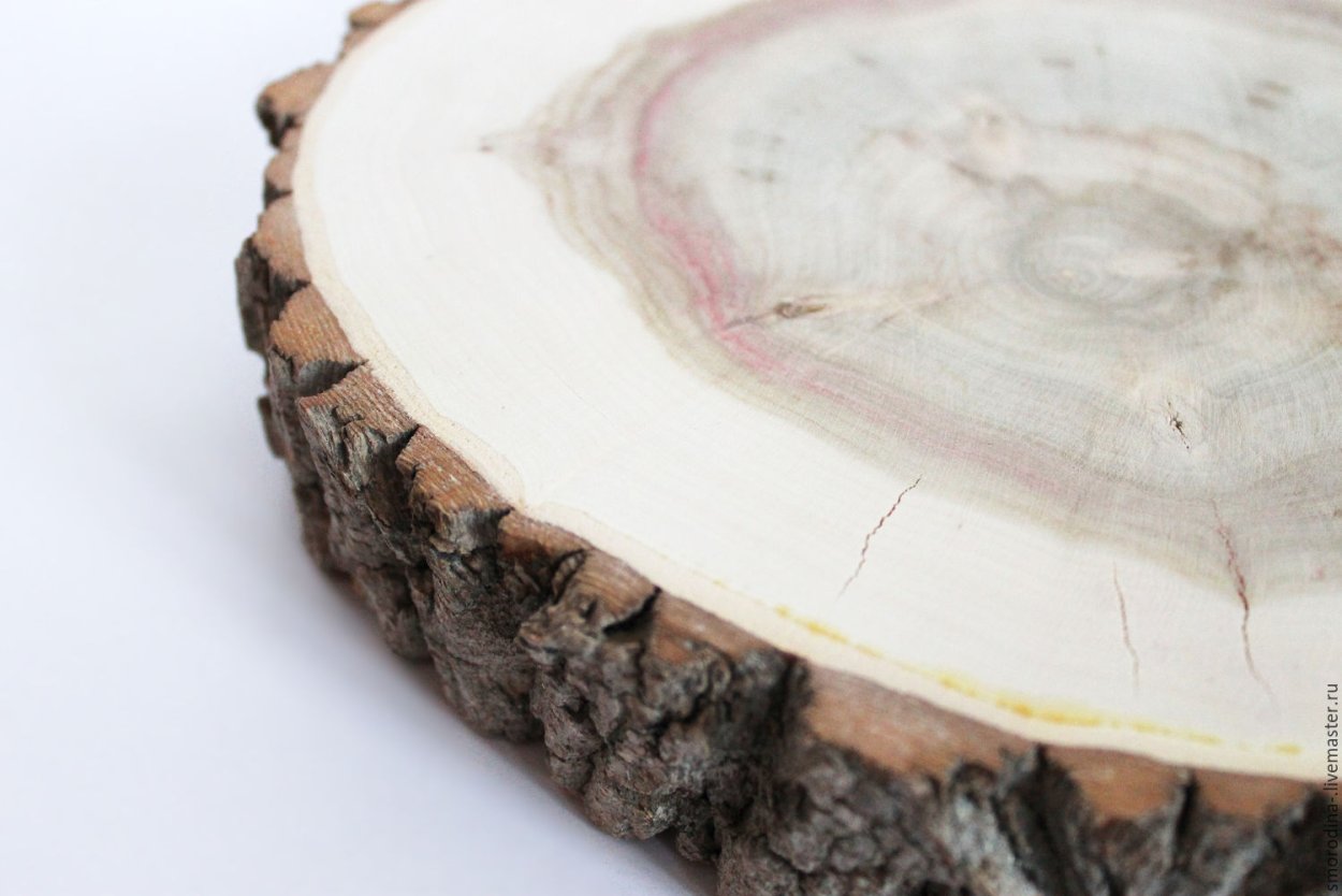 Спил дерева f4150g