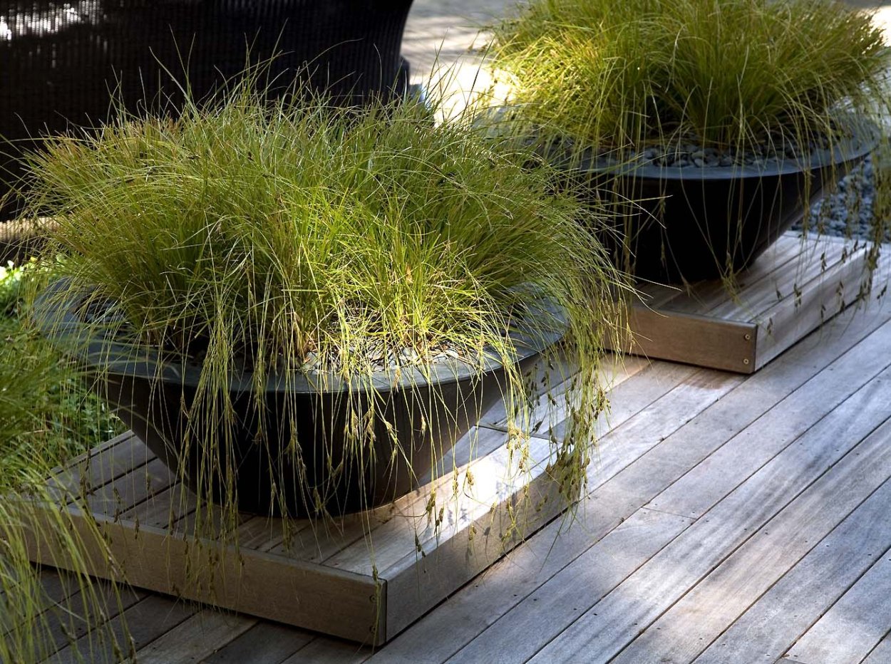 Злаки в контейнерах