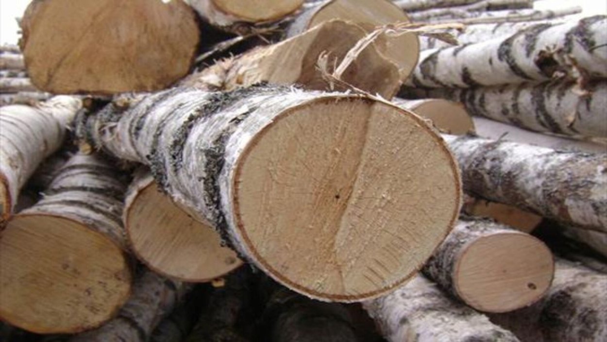 Березовый Кряж