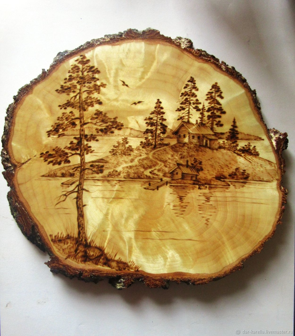 Спил карельской березы