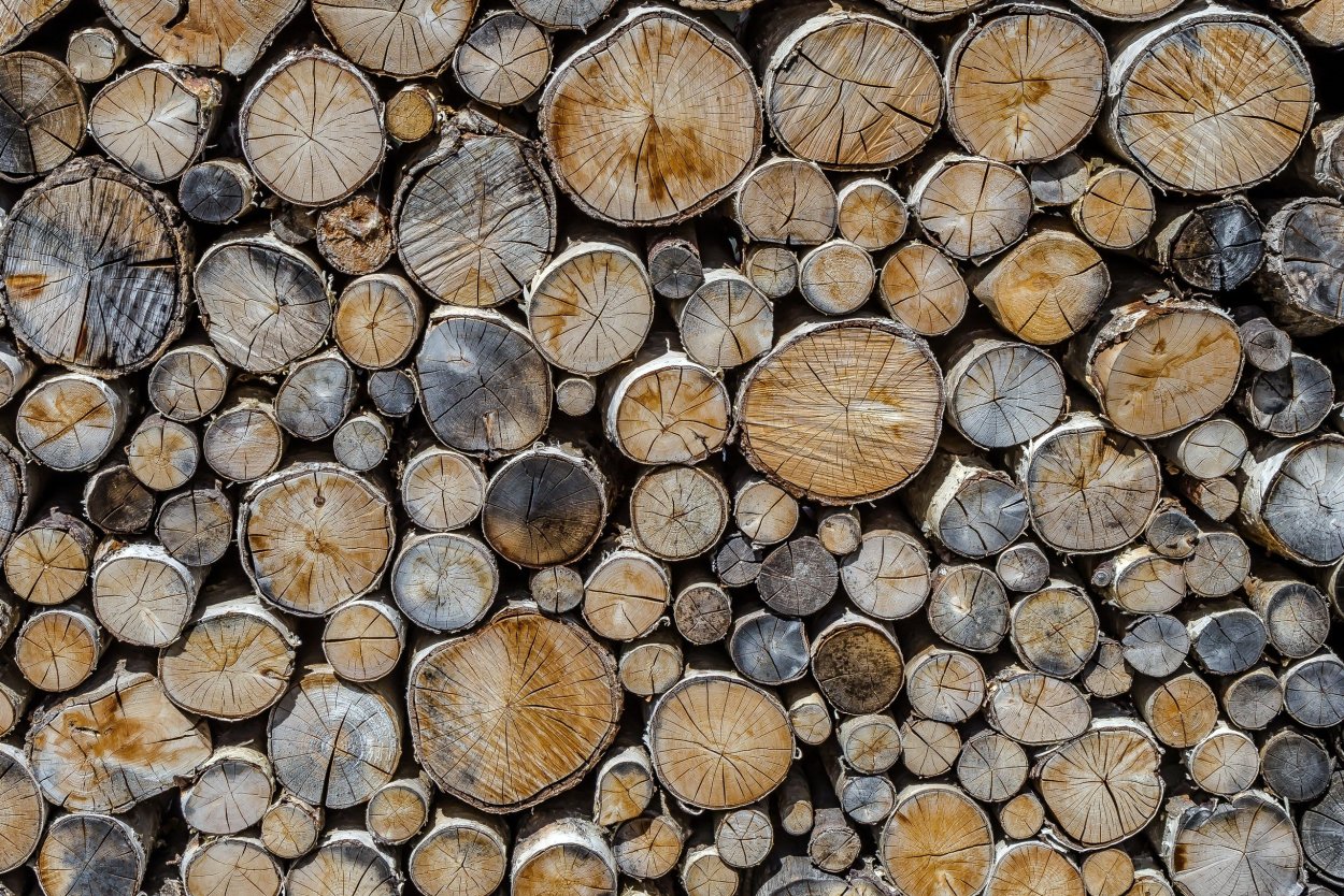 Фактура бревна