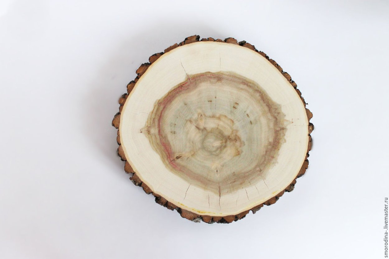 Спил дерева f4150h